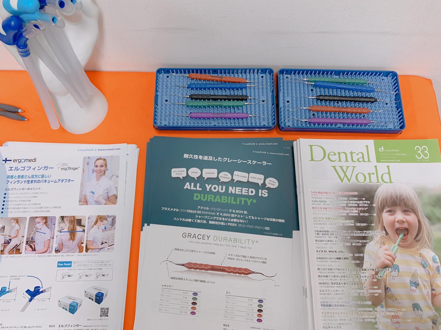 スカンジナビアの本質を知る