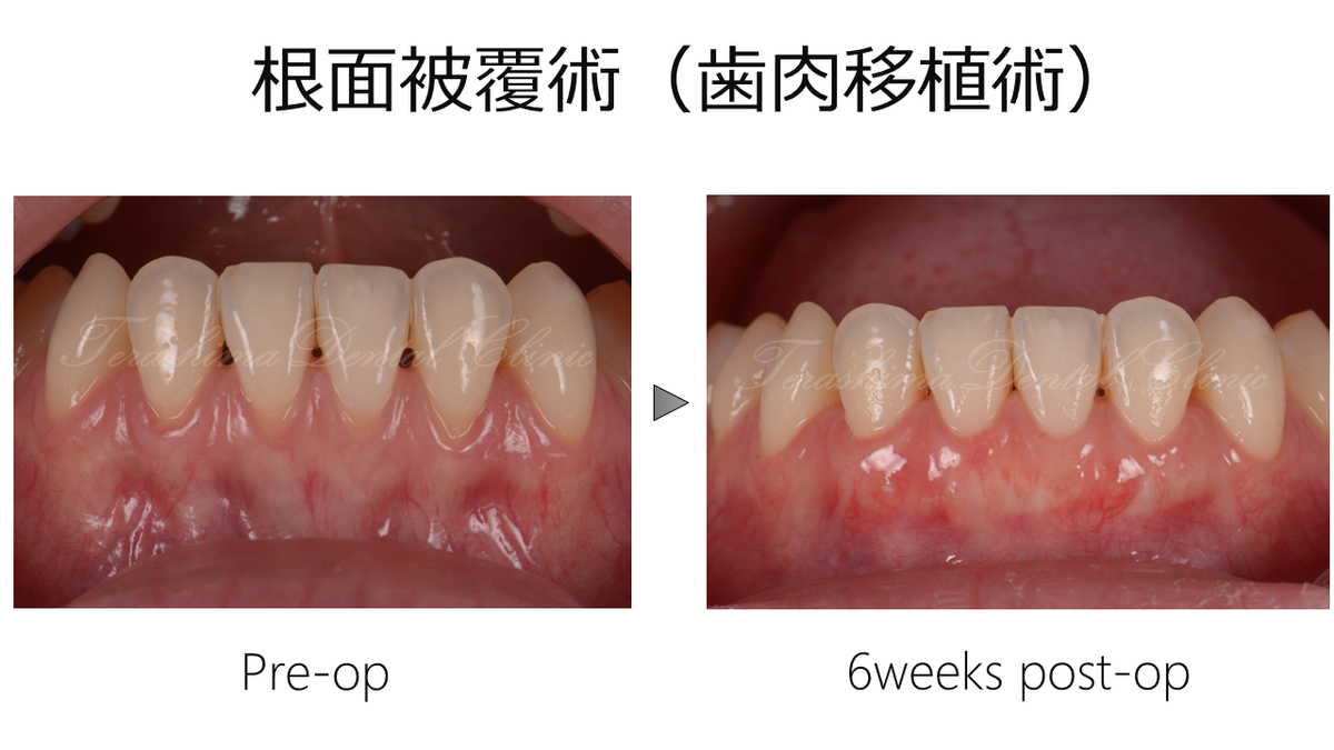 b74e6999533e6e71e7d8a74408f744